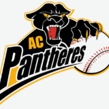 pantheres_logo