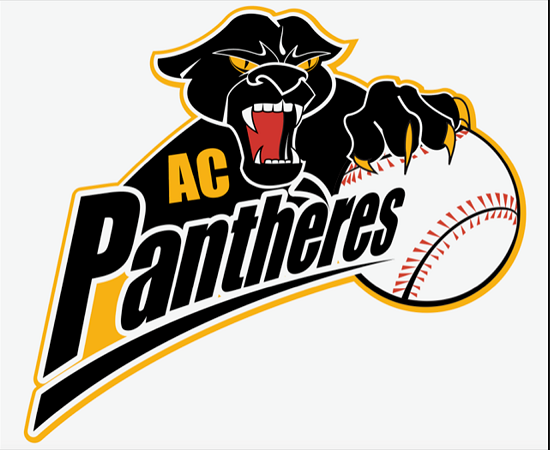 pantheres_logo